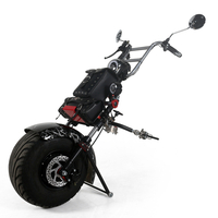 WISKING remolque eléctrico para silla de ruedas con ruedas grandes para exteriores para discapacitados